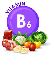 Variedade de diferentes alimentos com vitamina B6 vetor