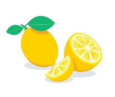 amarelo limão vetor ilustração