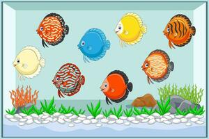 desenho animado disco peixe natação dentro aquário vetor
