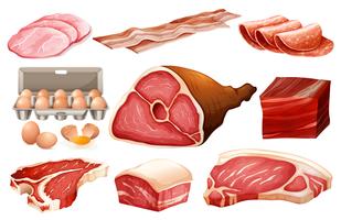 Ingrediente fresco para produtos de carne vetor