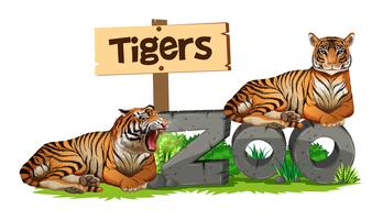 Dois, tigres, ligado, sinal jardim zoológico vetor