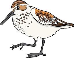 desenho animado pássaro maçarico ocidental personagem animal em quadrinhos vetor