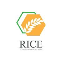 arroz ou trigo grão agricultura logotipo Projeto para seu o negócio e produtos nomes ou para todos seu Ideias vetor