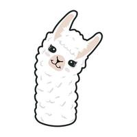 lama alpaca cabeça com face ícone vetor