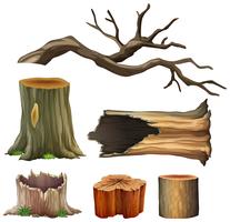 Conjunto de madeira de árvore vetor