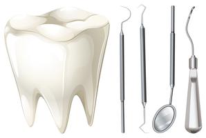 Conjunto odontológico com dente e equipamento vetor