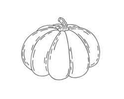 abóbora mão desenhado esboço rabisco vetor ilustração vegetal para sazonal outono feriados celebração projeto, saudável vegetariano dieta, Ação de graças, dia das Bruxas clipart