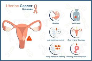 vetor médico ilustração em conceito do sintomas do uterino Câncer. humano útero dentro plano estilo e pêssego colori fita, símbolo do uterino câncer.isolado em médico esboços ícone fundo