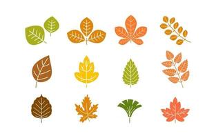 ícone de folhas de outono vetor