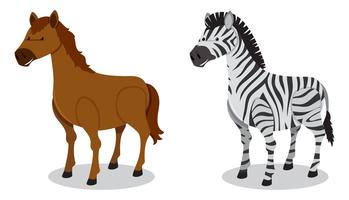Cavalo e zebra no fundo branco vetor