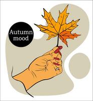 outono bordo folha dentro fêmea mão. outono humor, mudança do temporadas. para cartões postais, anúncios, bandeiras. vetor