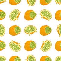 ilustração sobre o tema kiwano sem costura colorida grande vetor