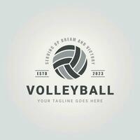 emblema crachá voleibol campeonato logotipo ícone vetor Projeto ilustração