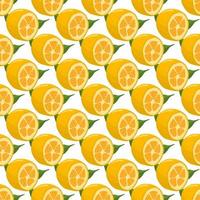 ilustração sobre o tema kumquat colorido grande e sem costura vetor