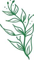 mão desenhado floral botânico ícones vetor