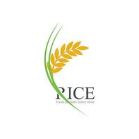 arroz ou trigo grão agricultura logotipo Projeto para seu o negócio e produtos nomes ou para todos seu Ideias vetor