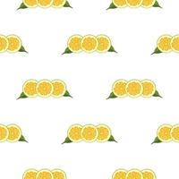 ilustração no tema grande pomelo colorido sem costura vetor