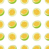 ilustração no tema grande pomelo colorido sem costura vetor