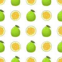 ilustração no tema grande pomelo colorido sem costura vetor