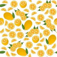 ilustração sobre o tema kumquat colorido grande e sem costura vetor