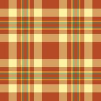 padronizar têxtil Verifica do desatado tartan vetor com uma tecido xadrez fundo textura.