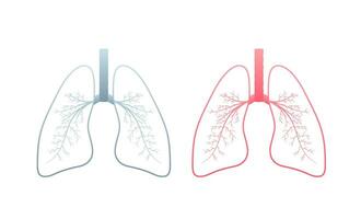 pulmões, ótimo Projeto para qualquer propósitos. desenho animado ilustração. simples vetor ilustração.