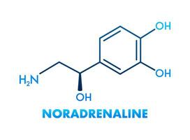 noradrenalina conceito químico Fórmula ícone rótulo, texto Fonte vetor ilustração.