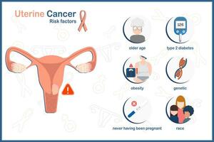 vetor ilustração dentro plano estilo em saúde Cuidado conceito, útero e risco fatores causando uterino câncer.mais velho idade, corrida, tipo 2 diabetes'obesidade, genético, Nunca ter fui grávida.