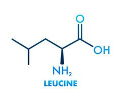 ícone com leucina Fórmula. essencial amino ácido molecular Fórmula. vetor
