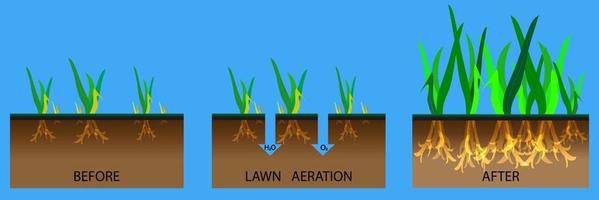 ilustração de estágio de aeração de gramado vetor