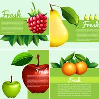 Infográfico design com frutas frescas vetor