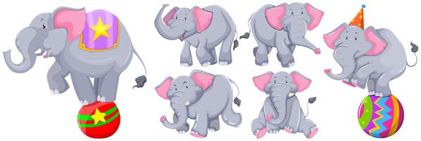 Elefantes cinzentos em diferentes ações vetor