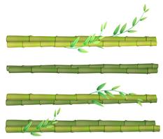 Um conjunto de bambu no fundo branco vetor