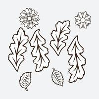 elementos de design floral vetor