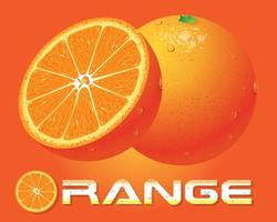 personagem laranja e vetor de conceito de fatia de laranja