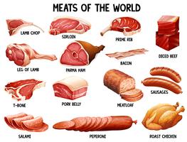 Carne do mundo vetor