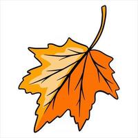 folha de outono esculpida. natureza folhas brilhantes das árvores. estilo de desenho animado. vetor