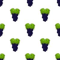 ilustração no tema uva sem costura colorida grande vetor