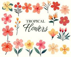 tropical vetor flores floral ilustração. conjunto do exótico flores e folhas. tropical coleção