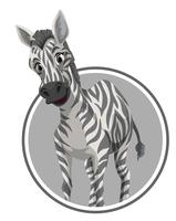 Uma zebra na bandeira da etiqueta vetor