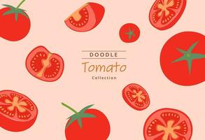 vetor sobre mão desenhado tomate coleção