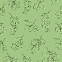 desenhado à mão azeitonas desatado padronizar em verde fundo, para tecidos, fundo, papel de parede, cobrir vetor