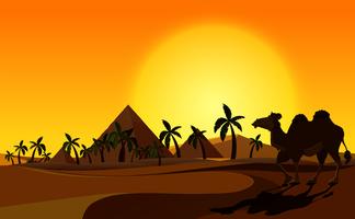 Pirâmide e camelo com cena do deserto vetor
