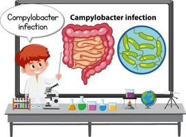 jovem médico explicando infecção por Campylobacter vetor