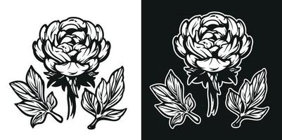 ilustração em preto e branco da flor peônia. vetor