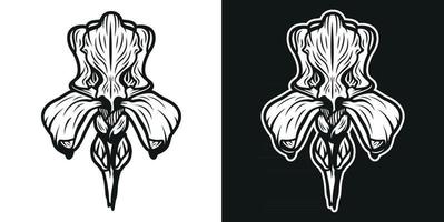 ilustração em preto e branco da flor da íris. vetor