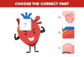 Educação jogos para crianças escolher a corrigir parte para completo uma fofa desenho animado coração cenário imprimível anatomia e órgão planilha vetor