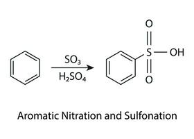 químico Fórmula e estrutura do aromático sulfonação orgânico reação vetor ilustração.