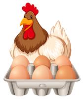 Feliz galinha e os ovos vetor