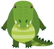 Crocodilo bonito com cara feliz vetor